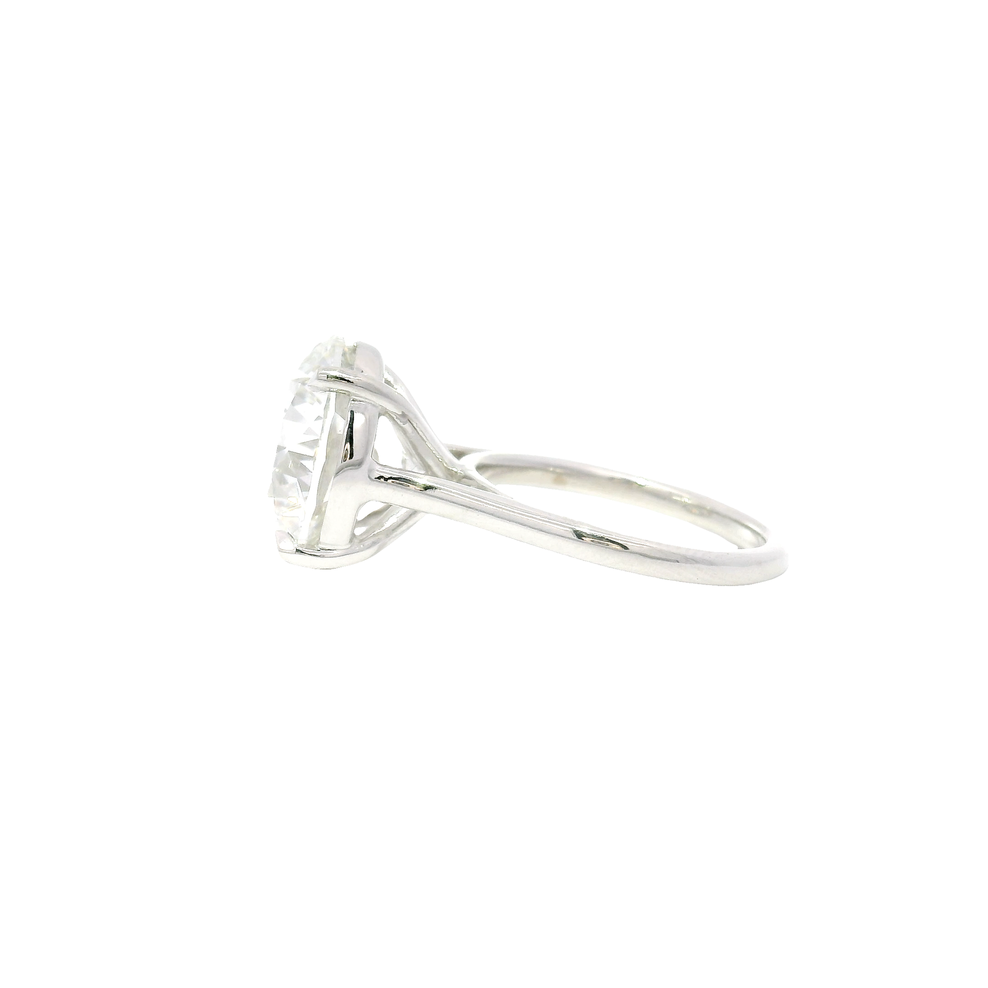 10.03ct. F VS1 Lab Grown Round Diamond Ring in 14K White Gold Cathedral