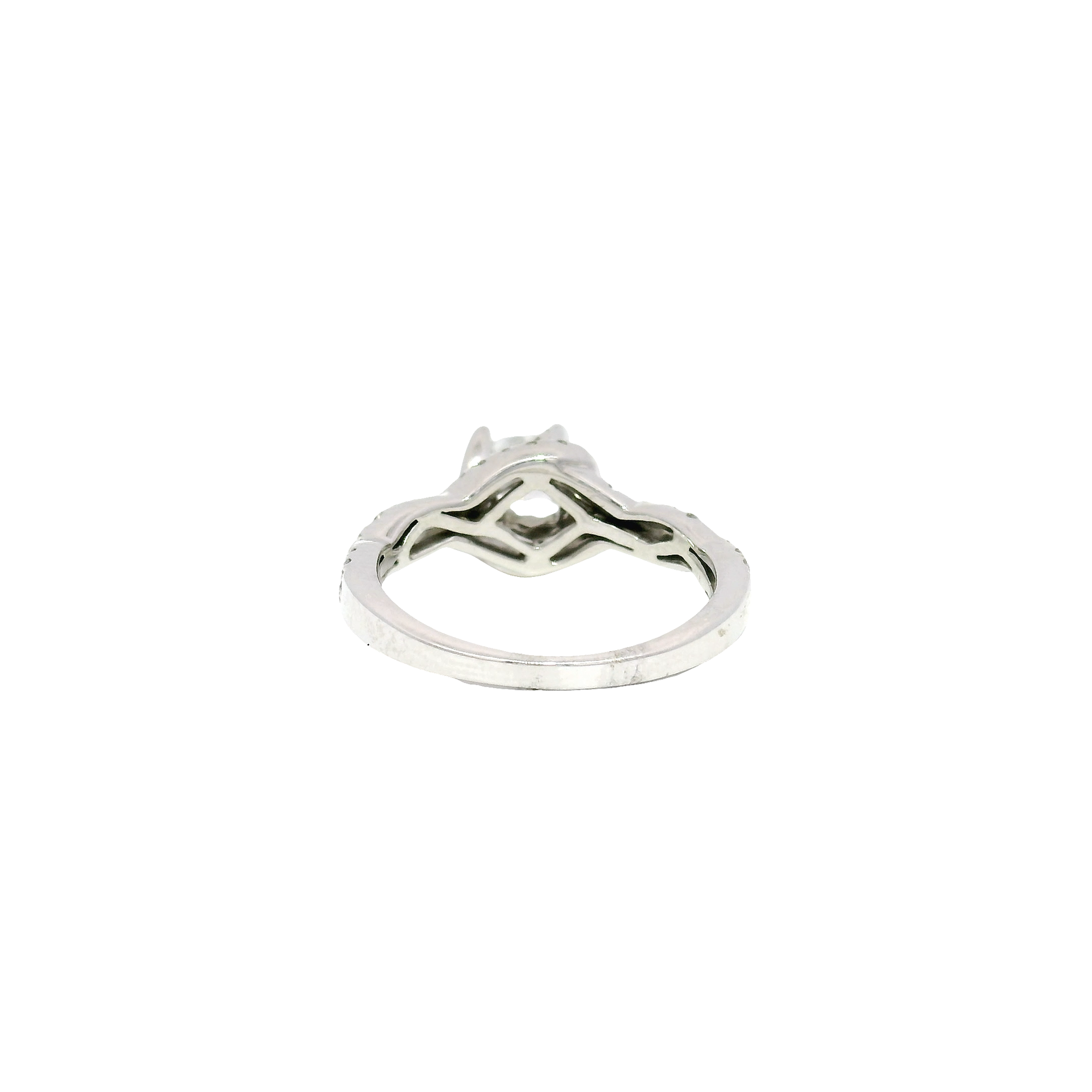 Princess Cut Engagement Ring in 14K White Gold