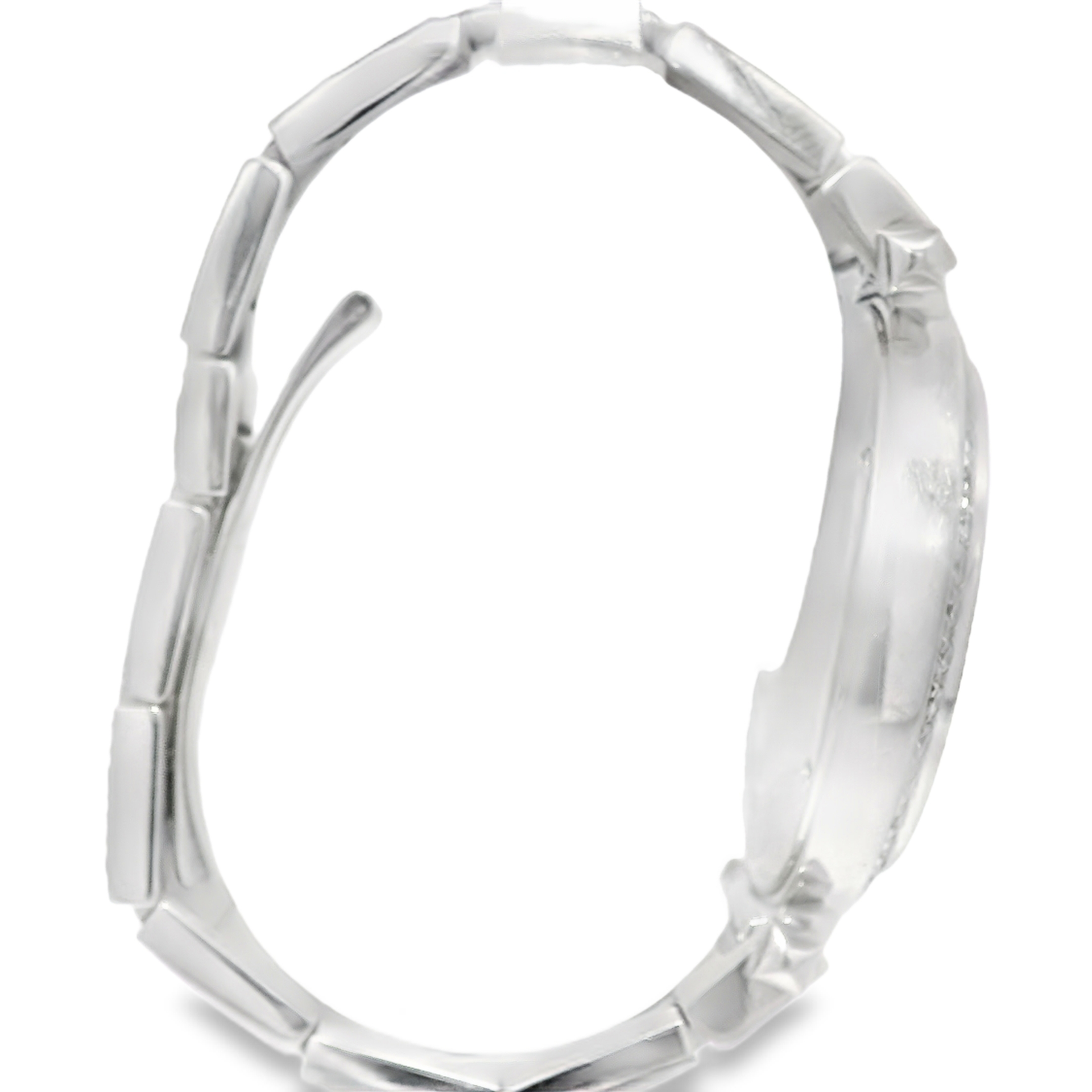 Cartier Pasha 42 in 18K White Gold Featuring 20 carats of Natural Diamonds