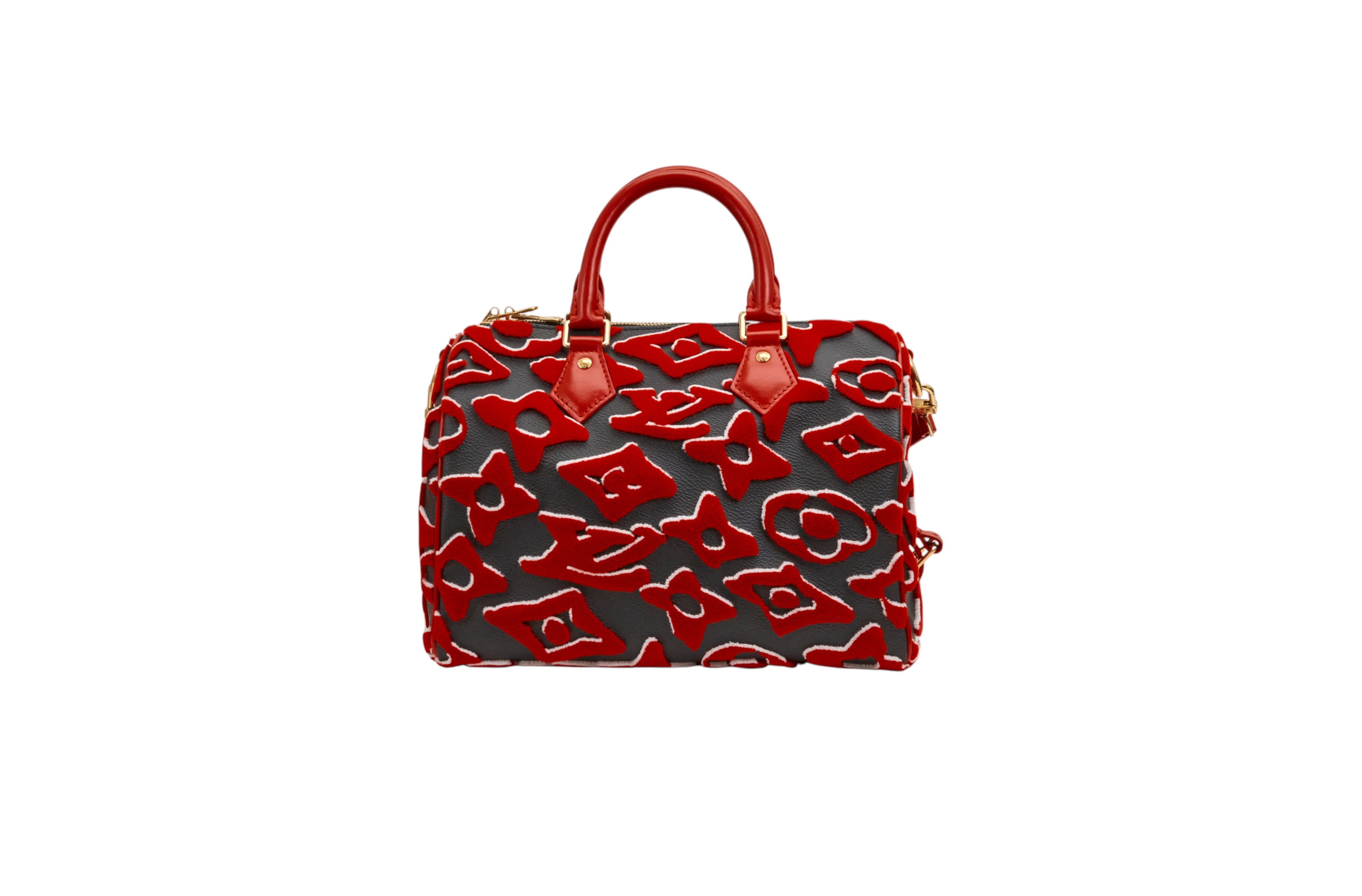 Louis Vuitton x Urs Fischer Limited Edition Speedy Bandouliere 25