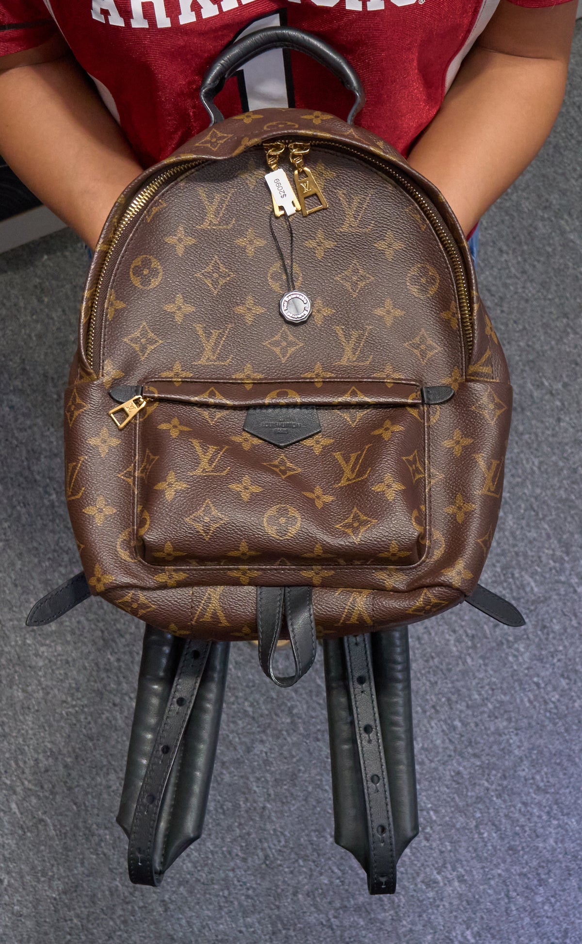 Louis Vuitton Palm Spring Monogram Bacpack