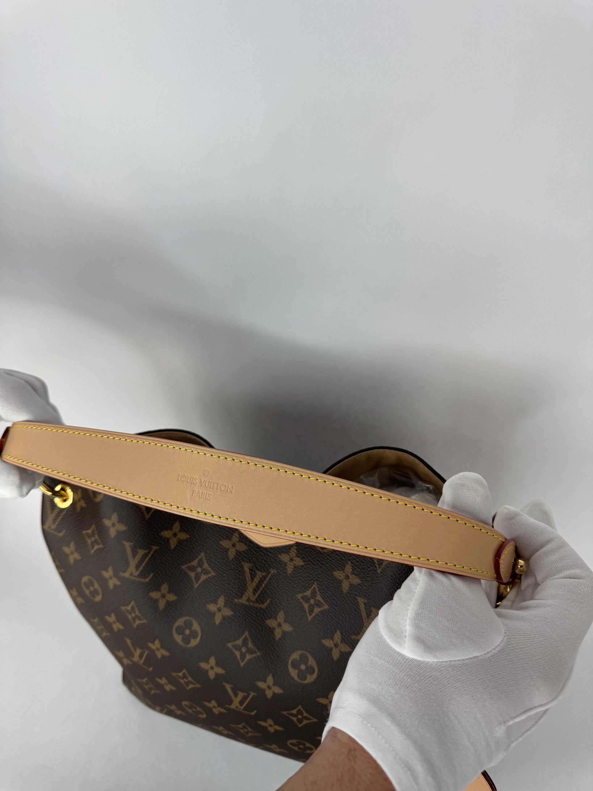 Louis Vuitton Graceful PM Monogram Beige