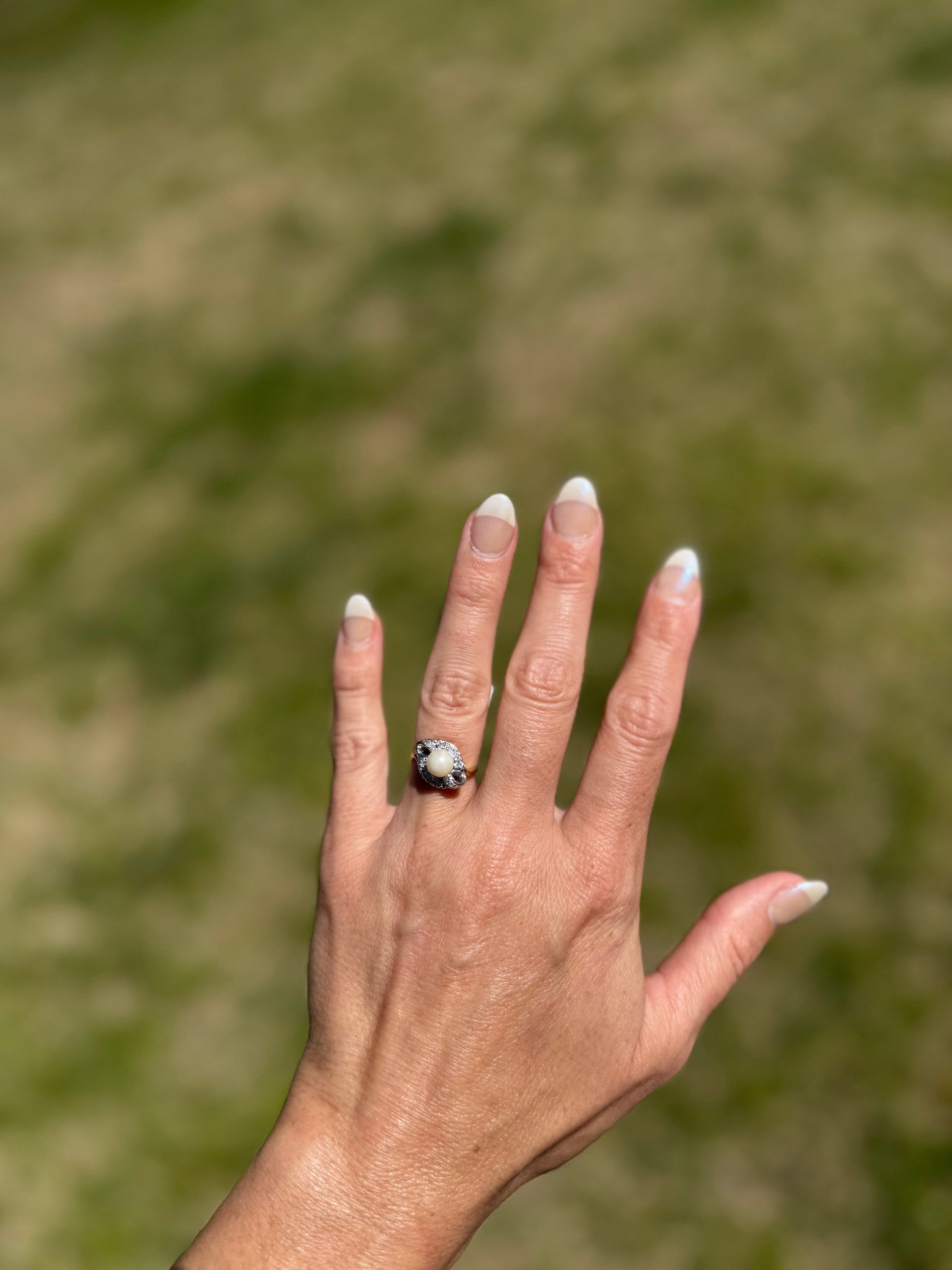 Cultured Akoya Pearl Ring set in 14K Yellow Gold