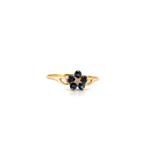 Sapphire & Diamond Ring Set in 10K Yellow Gold