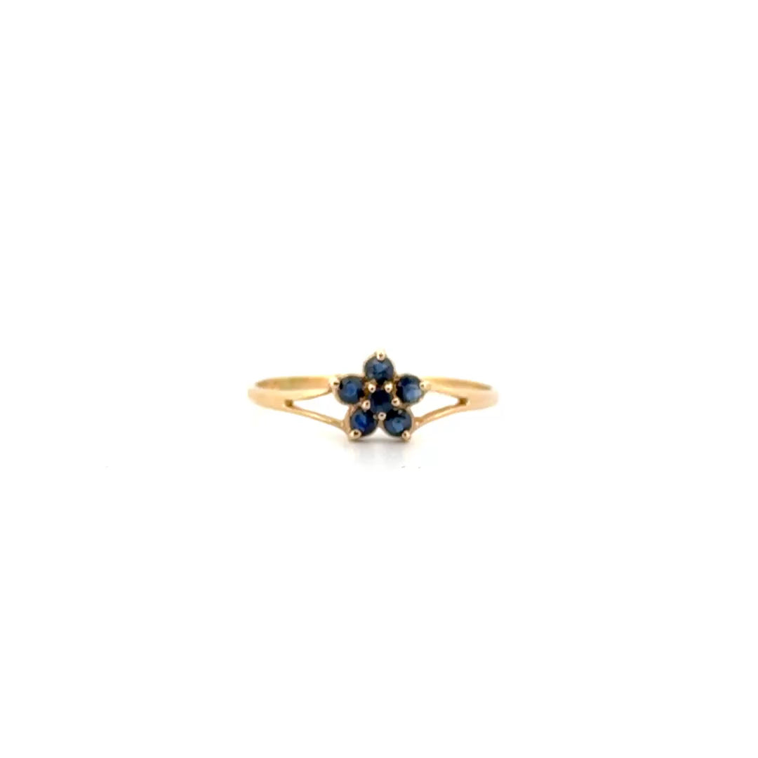 Sapphire Ring Set in 10K Yellow Gold