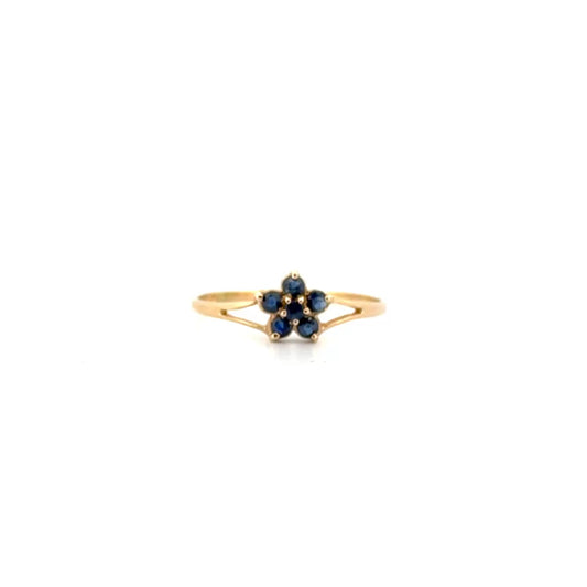 Sapphire Ring Set in 10K Yellow Gold