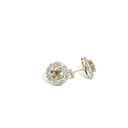 Champagne Diamond Cluster with Diamond Halo Ear Studs in 14K White Gold