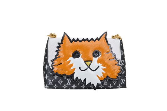 Louis Vuitton Chain Pochette Catogram Orange Cat