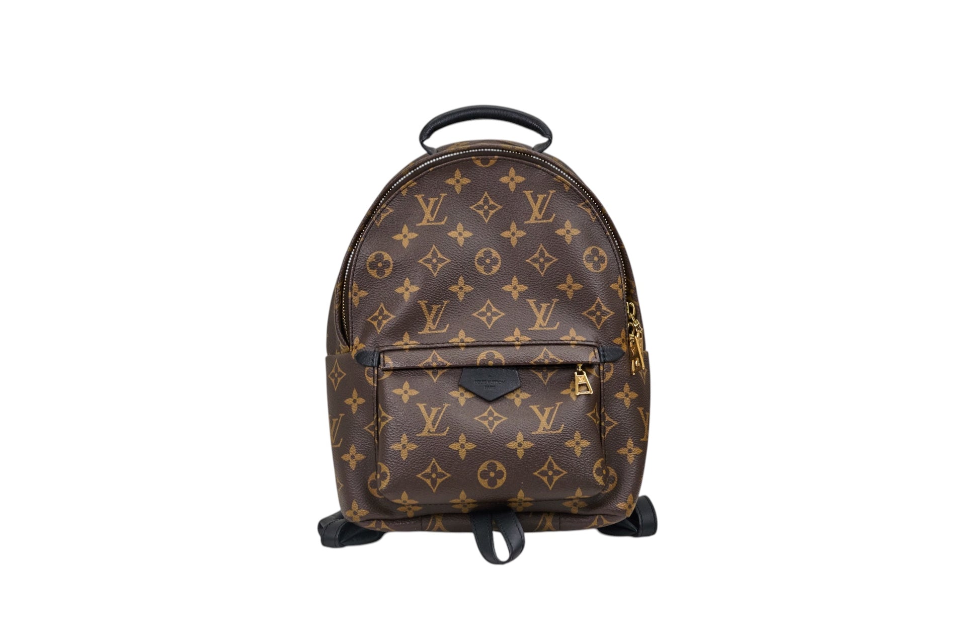 Louis Vuitton Palm Springs PM Monogram
