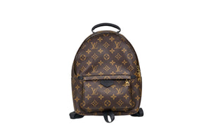 Louis Vuitton Palm Springs PM Monogram