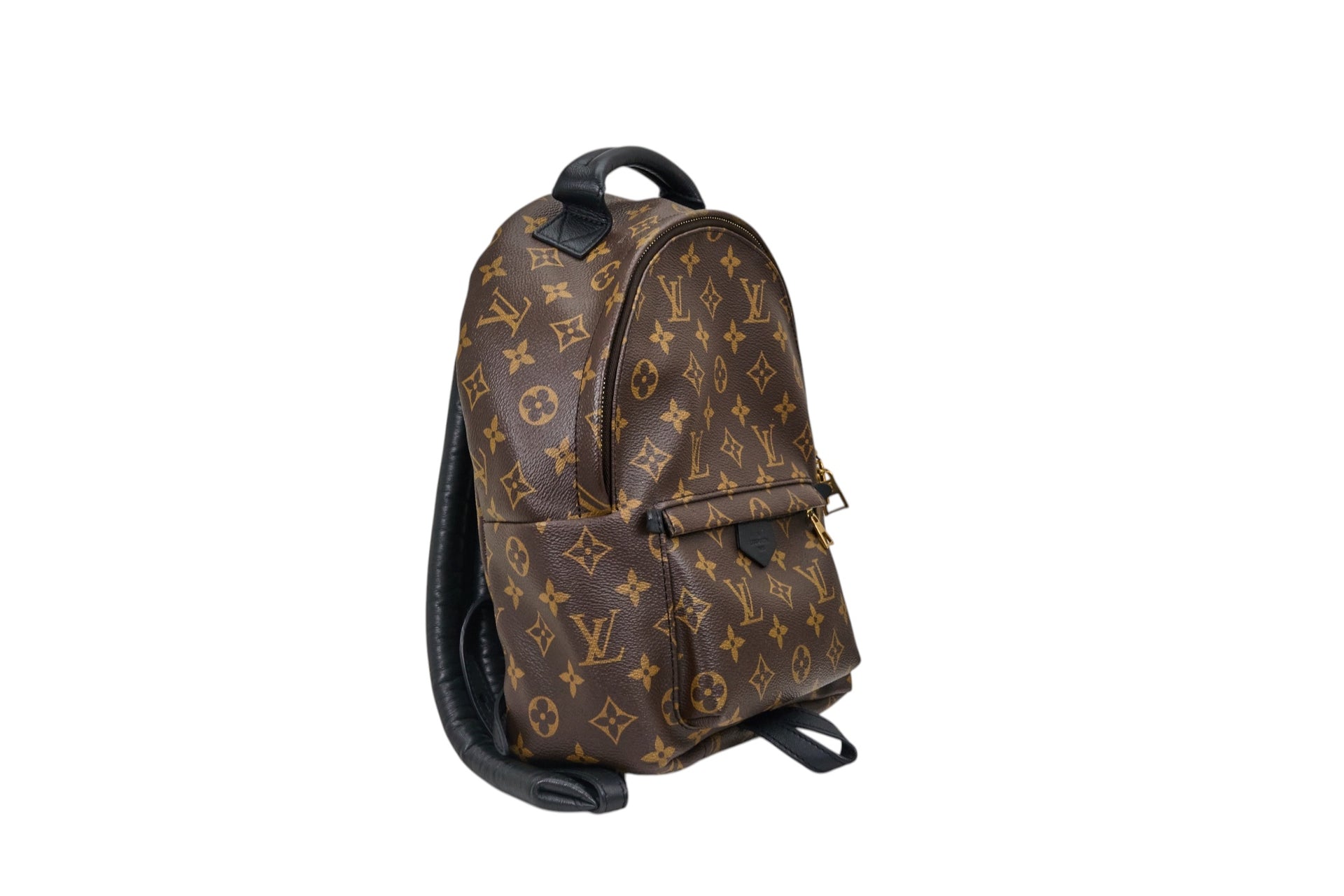 Louis Vuitton Palm Springs PM Monogram
