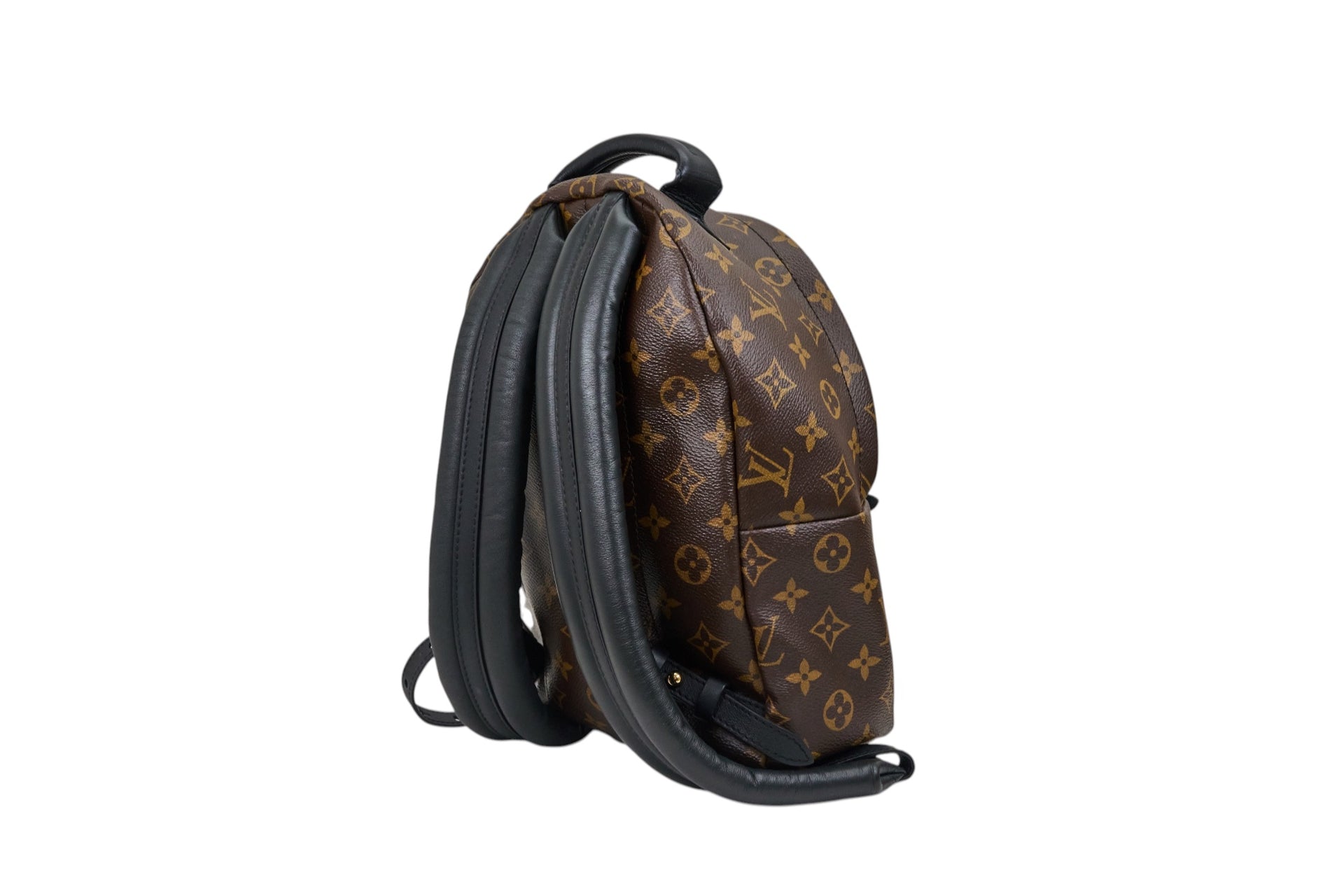 Louis Vuitton Palm Springs PM Monogram