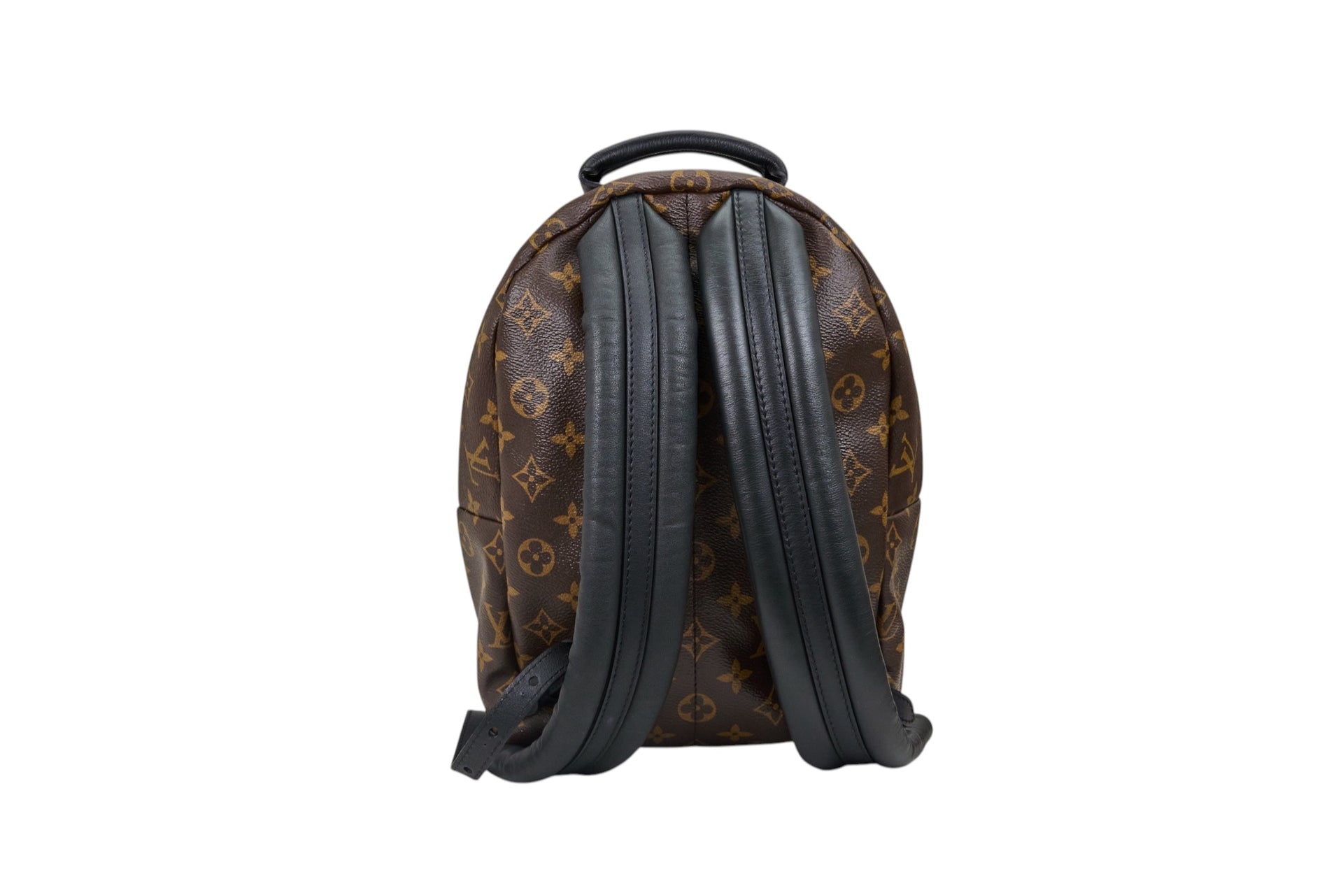 Louis Vuitton Palm Springs PM Monogram