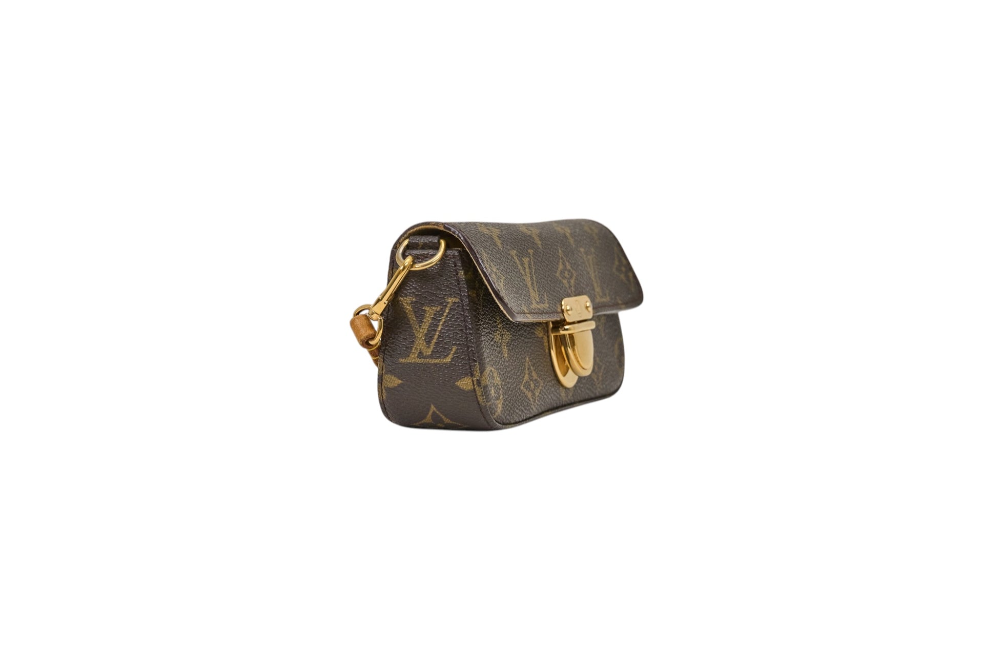 Louis Vuitton Lagoon Pochette Monogram