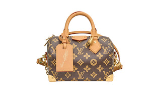 Louis Vuitton Speedy Trunk 20 Monogram Origine Ebene