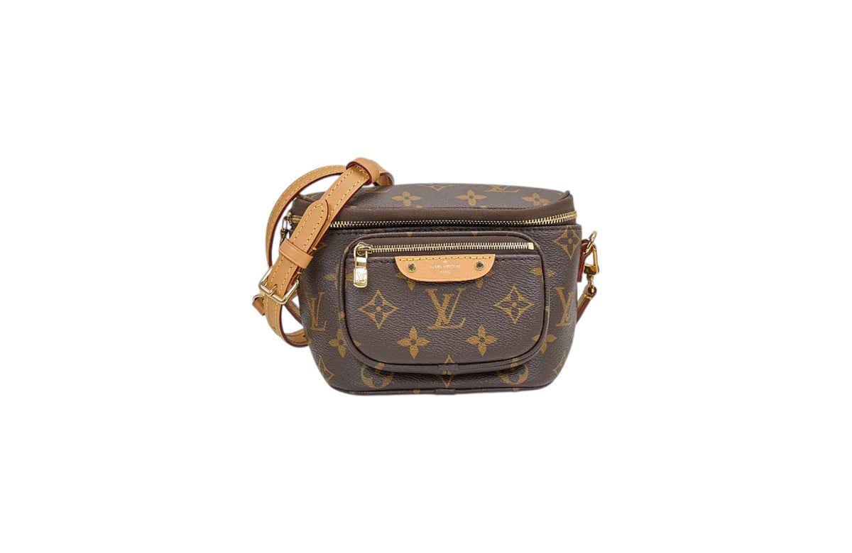 Louis Vuitton Mini Bumbag Monogram