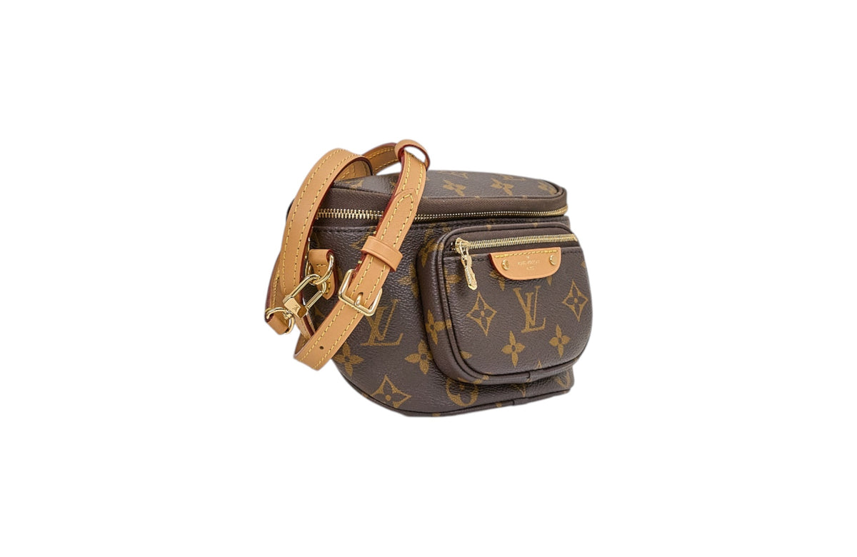 Louis Vuitton Mini Bumbag Monogram