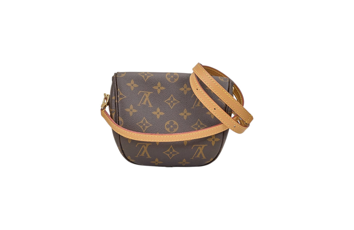 Louis Vuitton Mini Bumbag Monogram