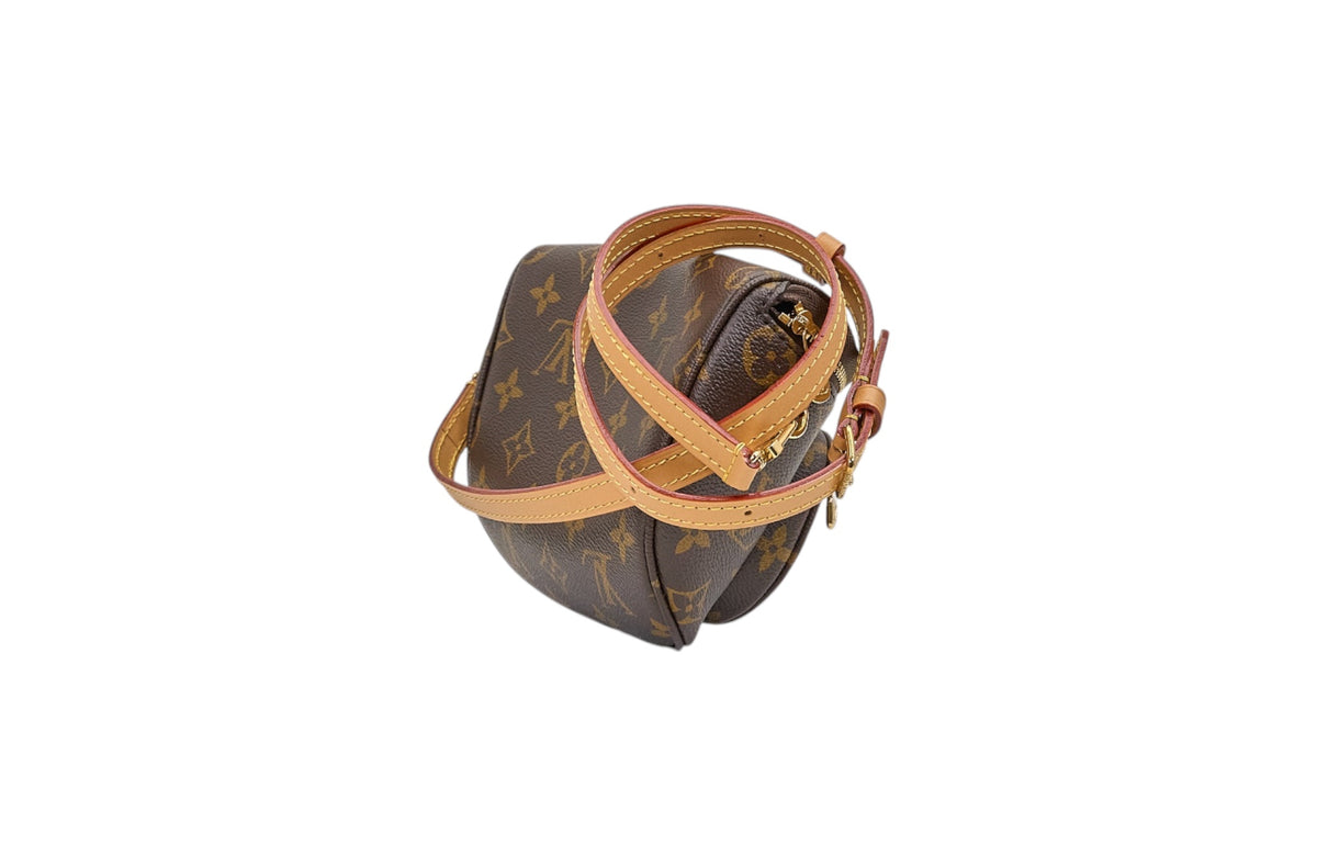 Louis Vuitton Mini Bumbag Monogram