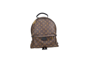 Louis Vuitton Palm Springs MM Monogram