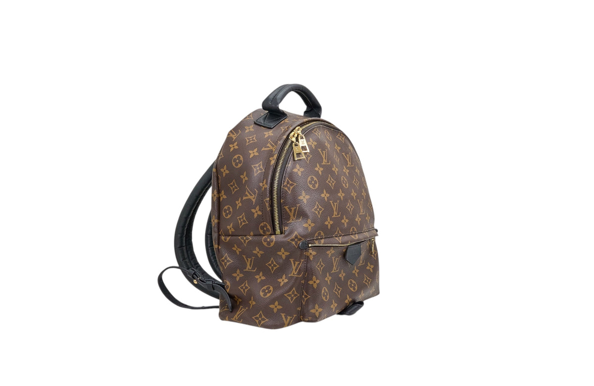 Louis Vuitton Palm Springs MM Monogram