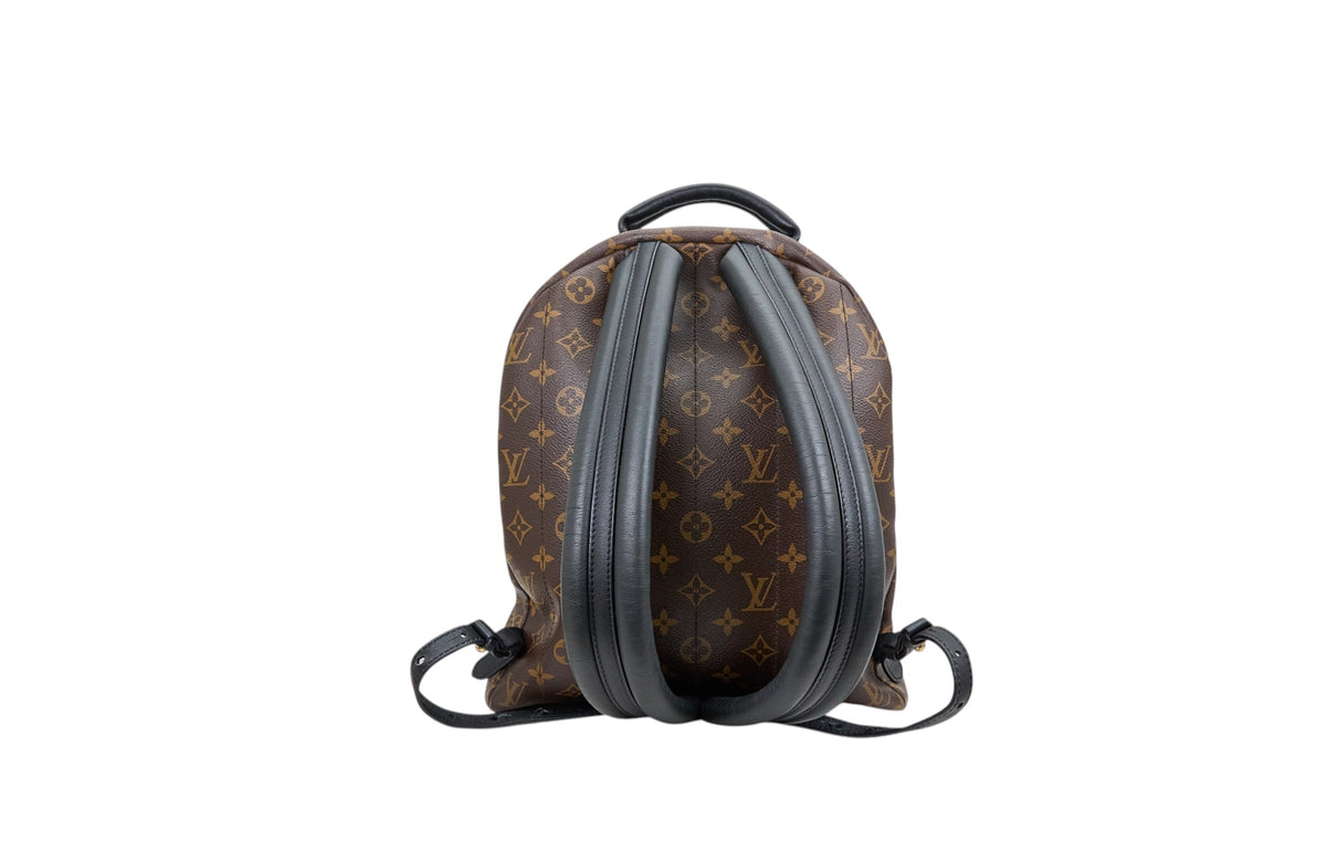 Louis Vuitton Palm Springs MM Monogram