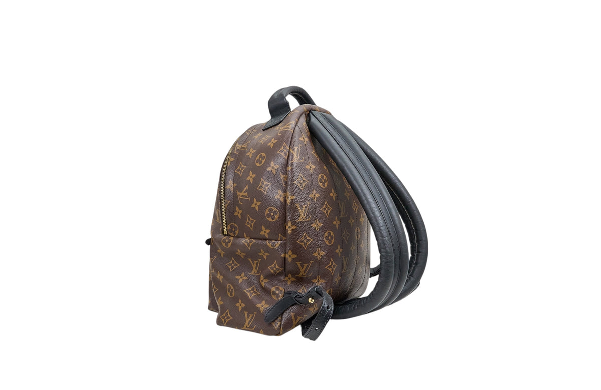 Louis Vuitton Palm Springs MM Monogram